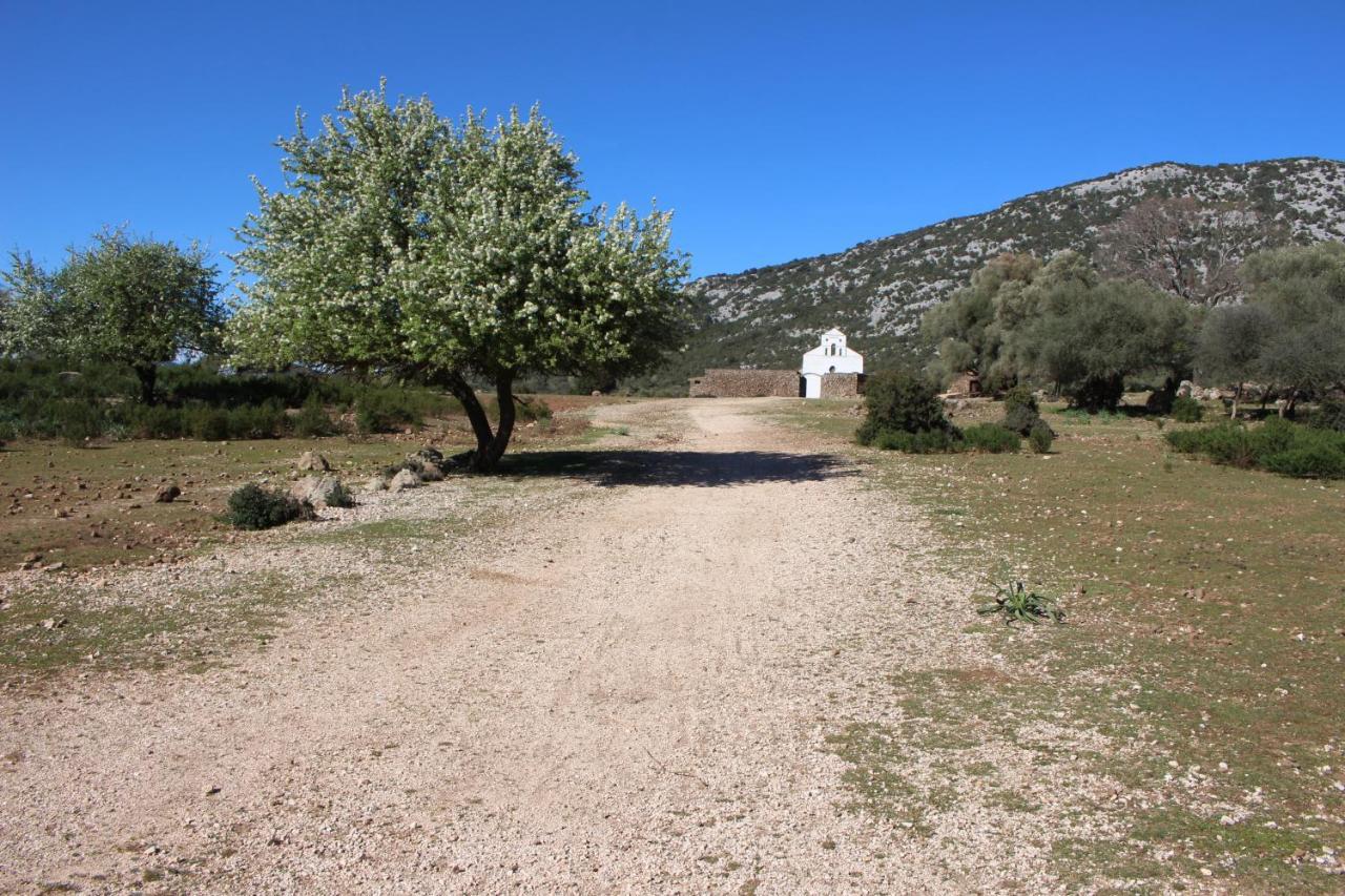 B&B Issicoro Baunei Εξωτερικό φωτογραφία